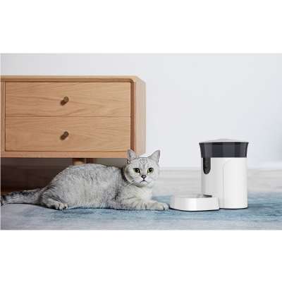 active large raised feeding automatic pet feeder water and food dogs cats food dispenser with 2019